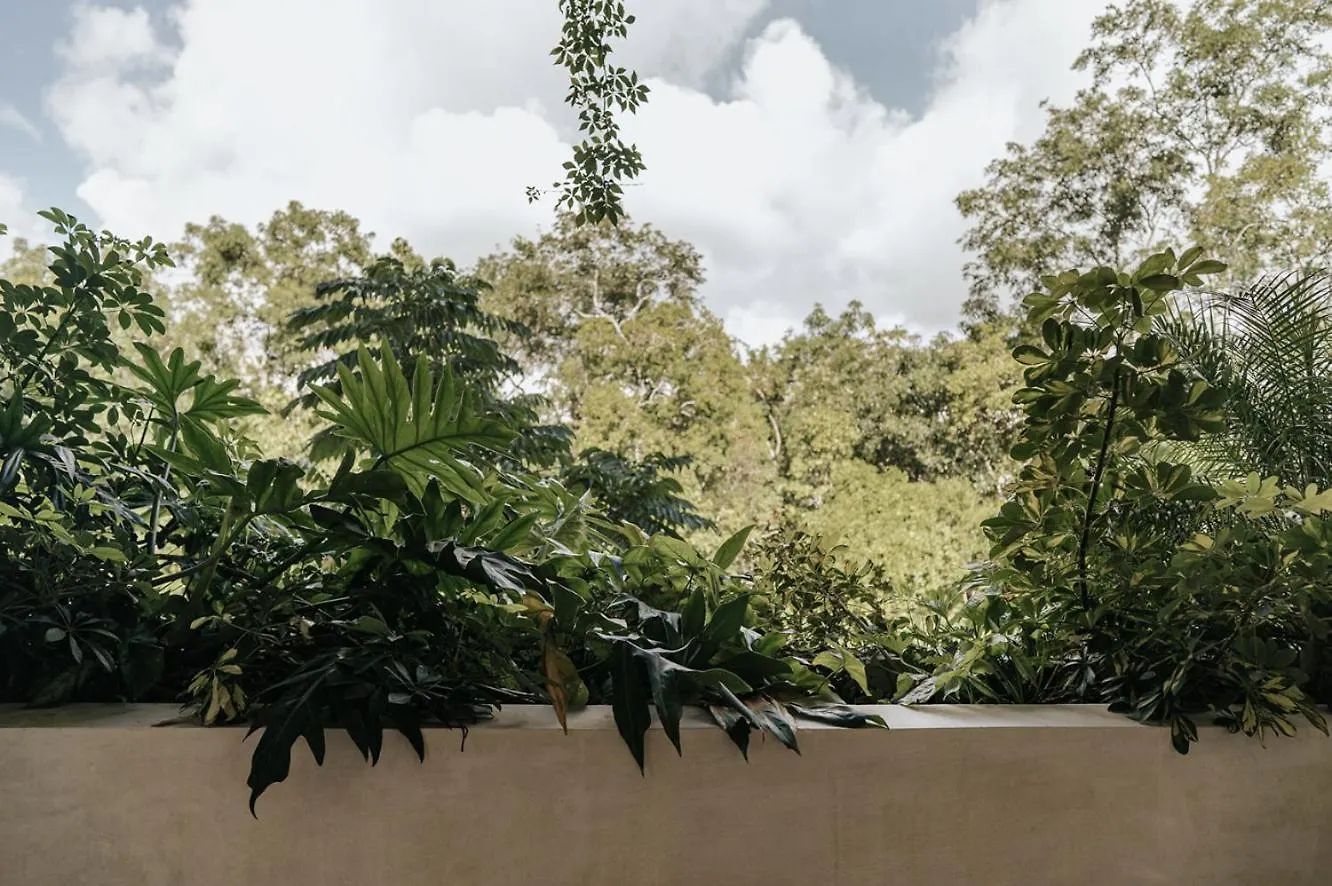 Private Villa In Aldea Zama Tulum